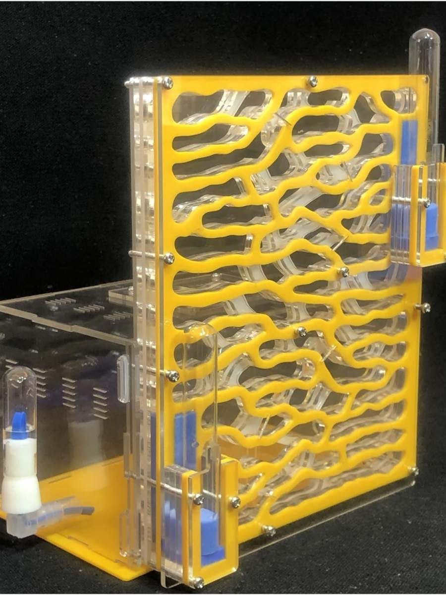 Granja de hormigas vertical en varios colores